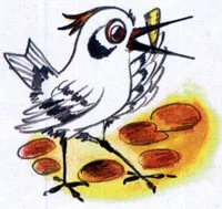 Ма-Тари-Кари - картинка 7