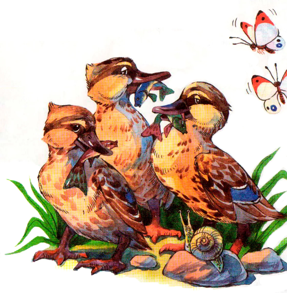 Утята с рыбками