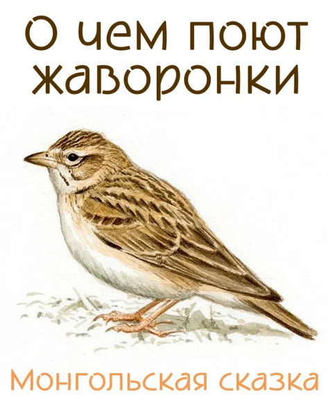 О чем поют жаворонки