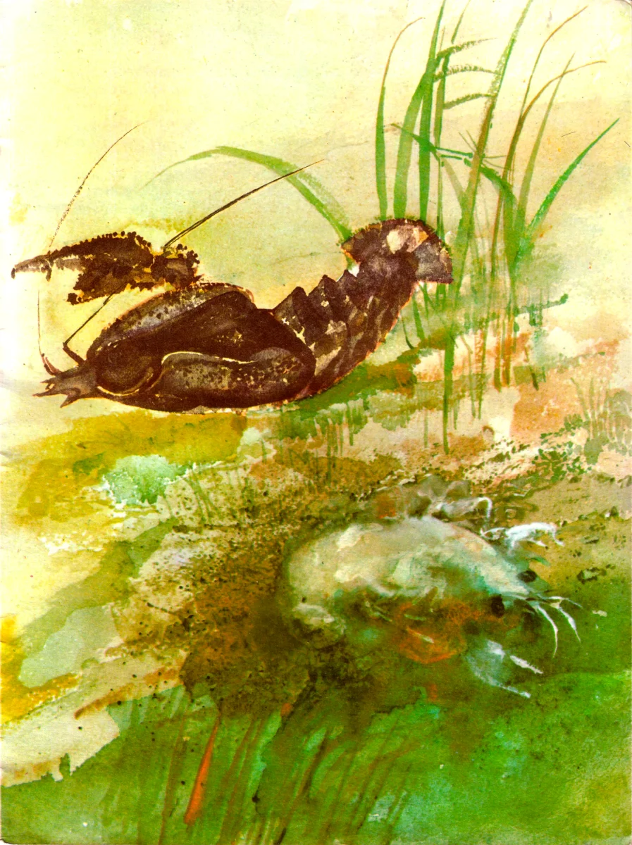 Рак в воде с рыбами