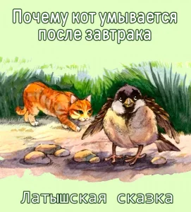 Почему кот умывается после завтрака
