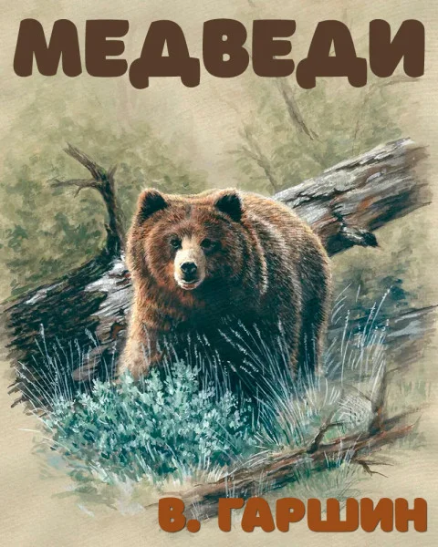 Медведи