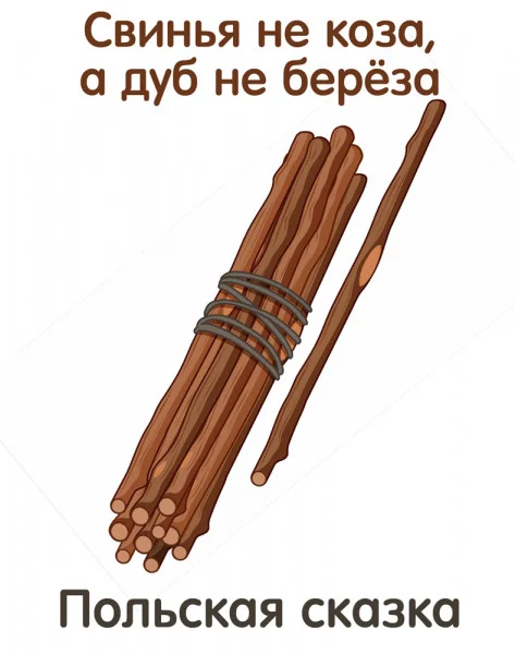 Свинья не коза, а дуб не берёза