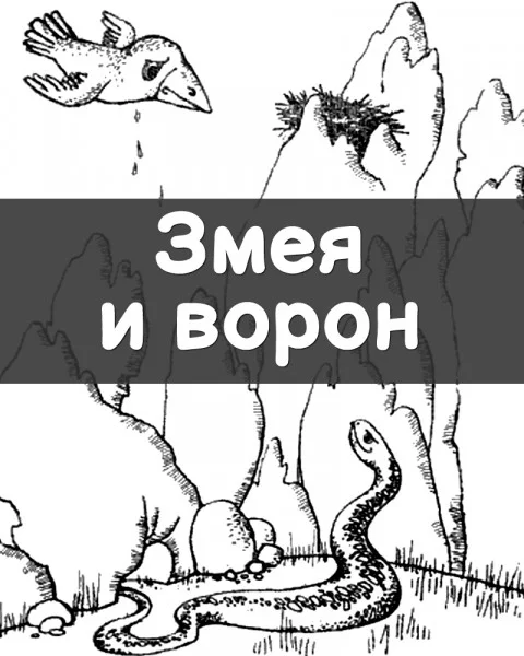 Змея и ворон