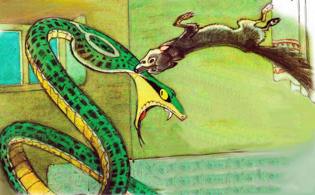 Мангуст Рикки Тикки Тави напал на змею