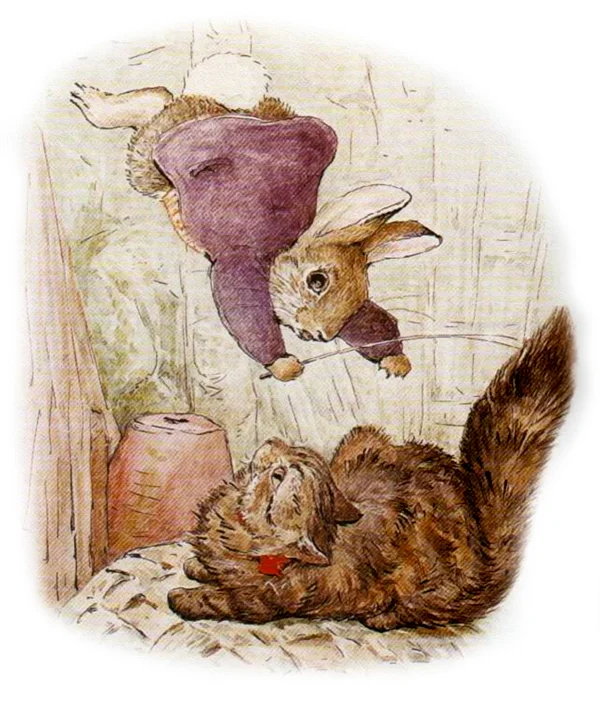 Кролик прыгнул на кошку