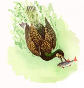 Рыба с жареной картошкой