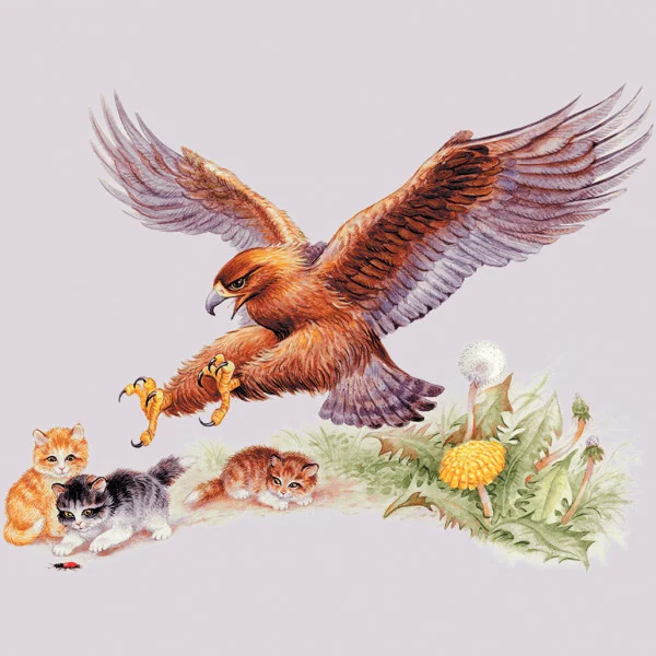 Орёл и кошка