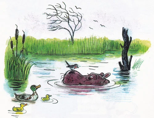 Бегемот застрял в болоте