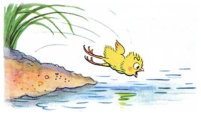 Цыпленок утенок, фото 10