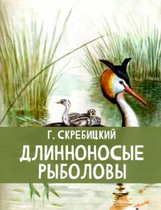 Длинноносые рыболовы