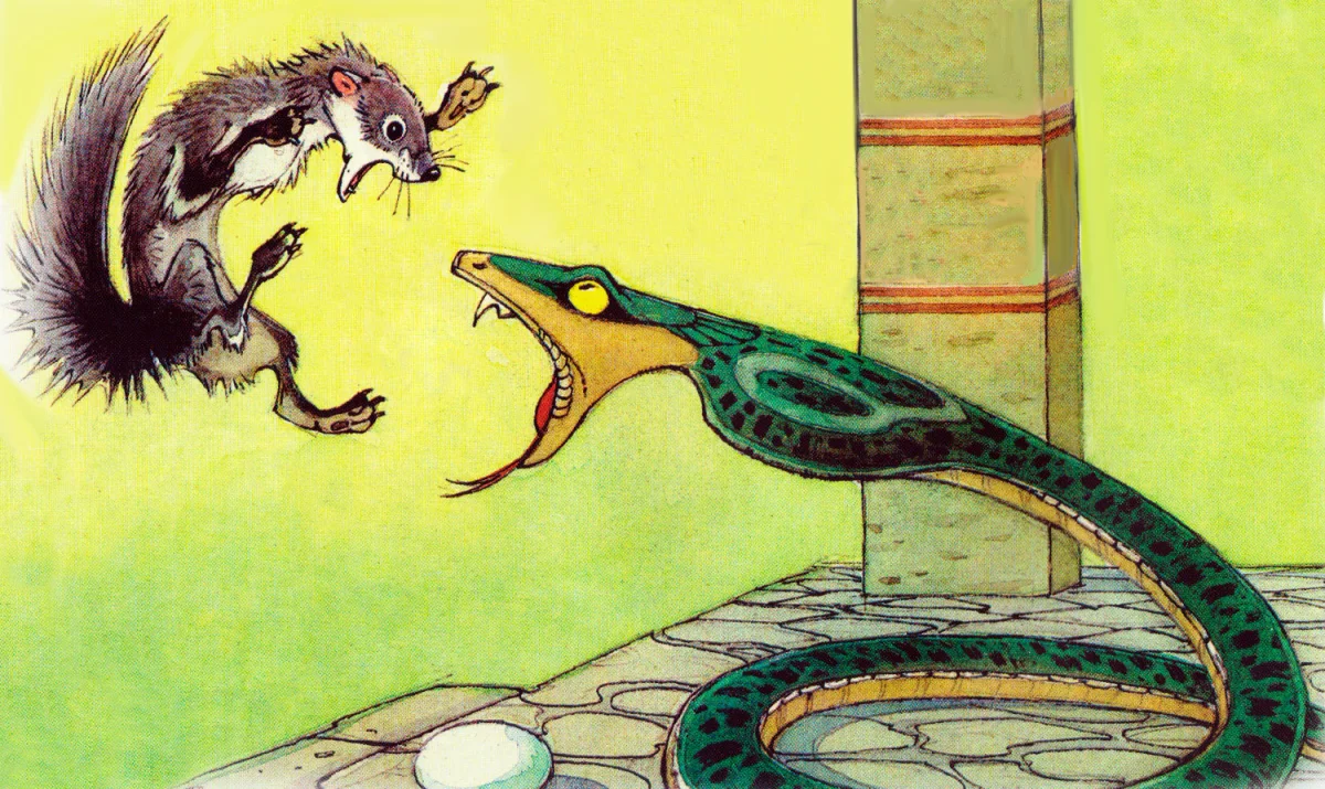 Змея нападает на мангуста