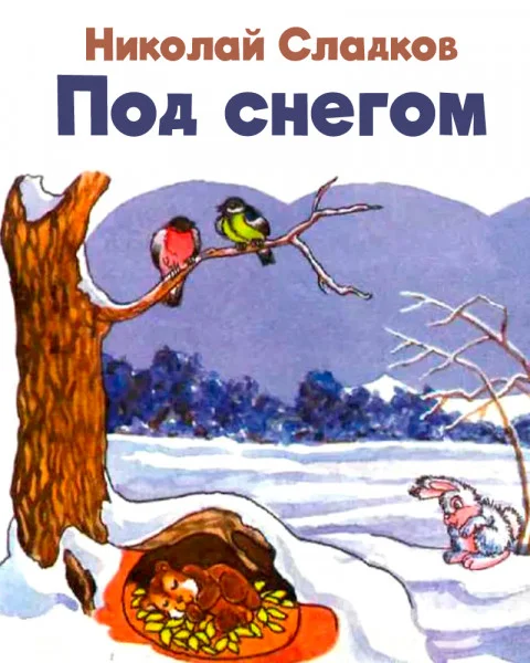 Под снегом