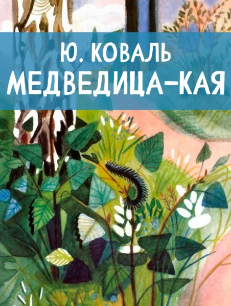 Медведица-кая