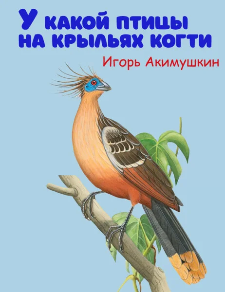 У какой птицы на крыльях когти