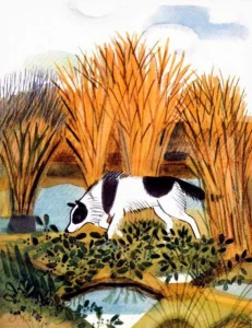 Дик и черника