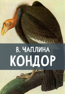 Кондор