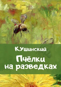 Пчёлки на разведках