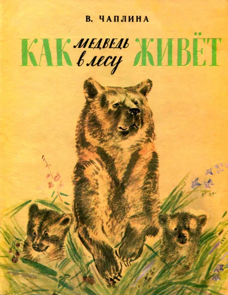 Как медведь в лесу живет