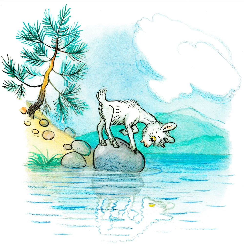 Козленок смотрится в озеро