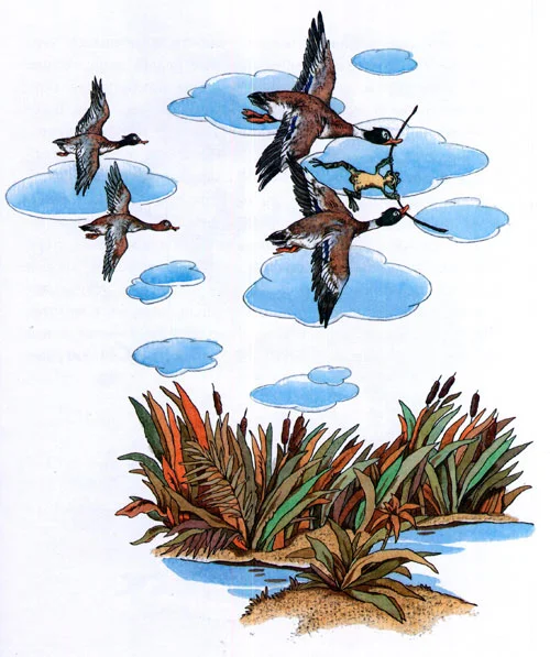 Лягушка-путешественница - картинка 7