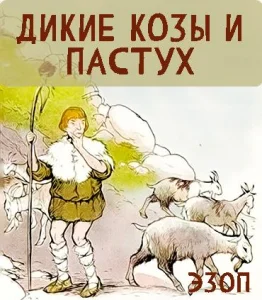 Дикие козы и пастух