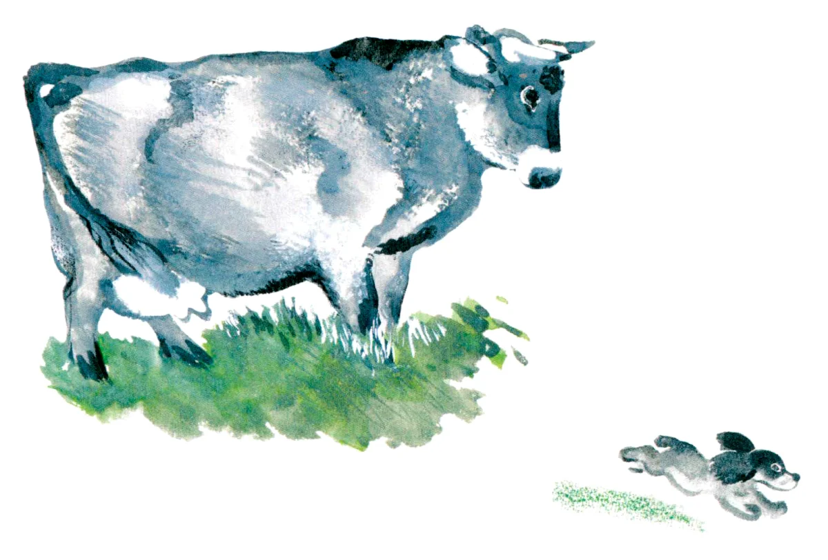 Пес убегает от коровы