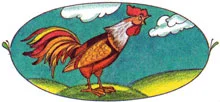 Петух