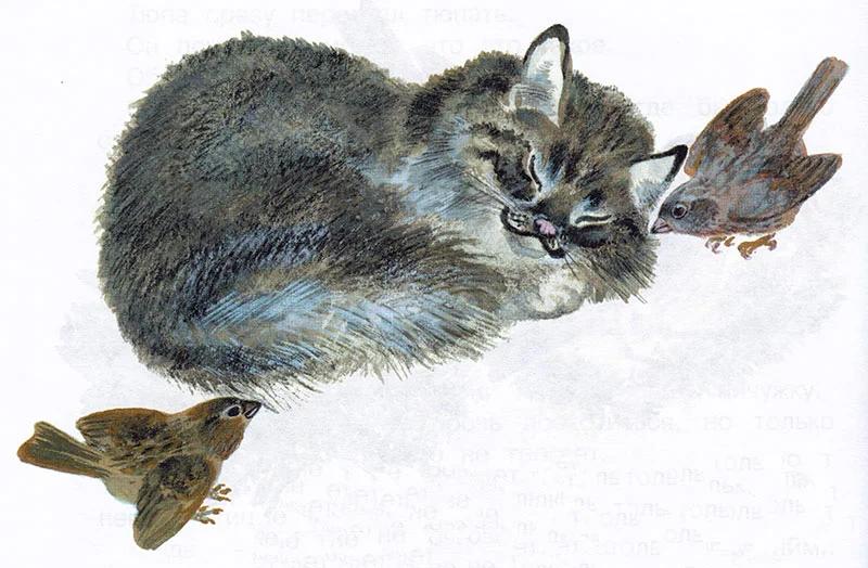 Кот и птицы