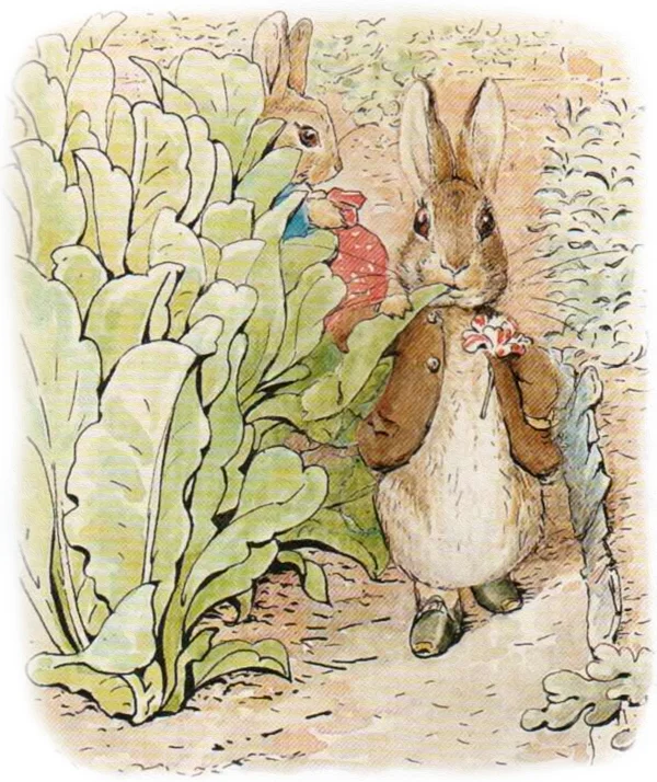 Кролики среди салата