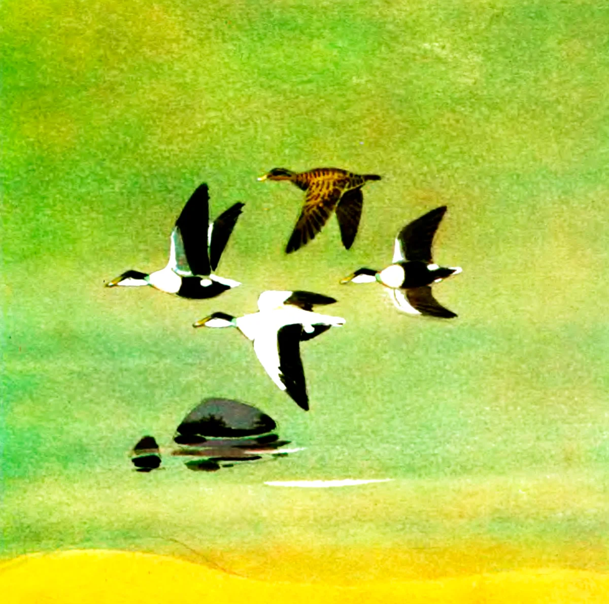 Птички летят