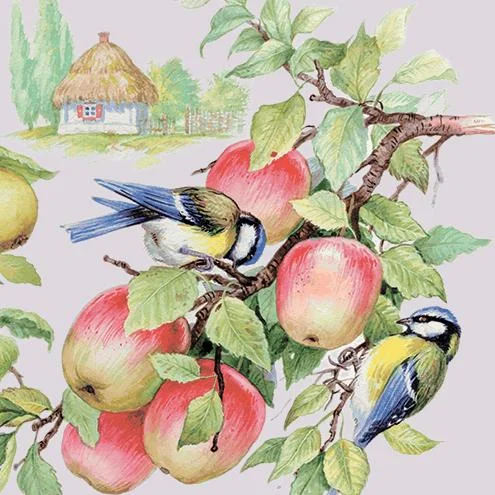 Птицы
