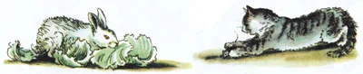Заяц и кошка