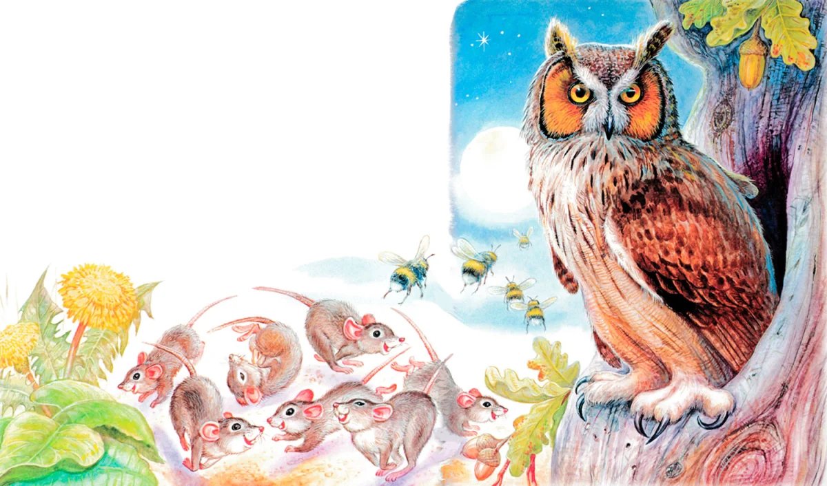 Сова сидит в дупле