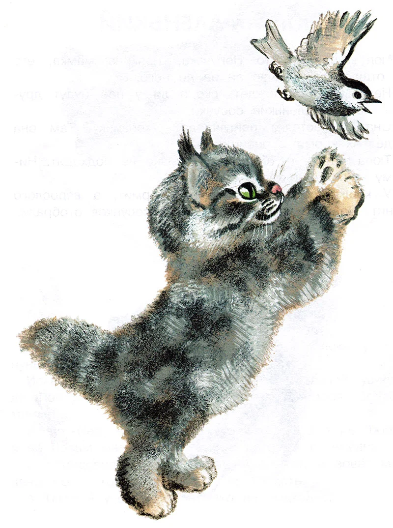 Тюпа ловит птицу