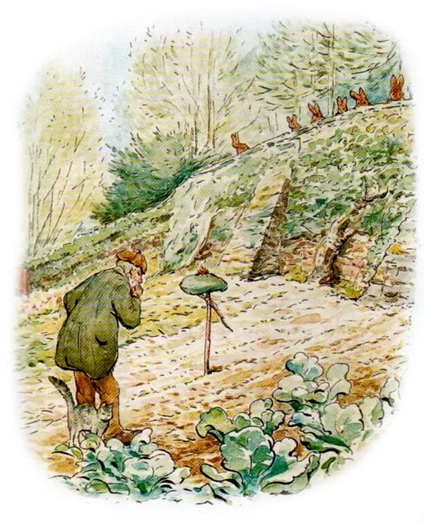 Мужчина в саду