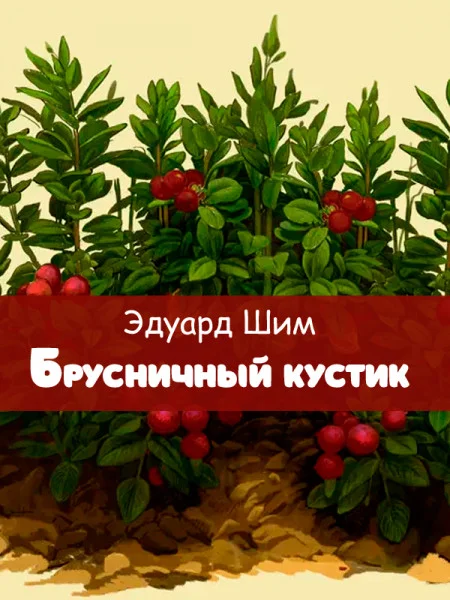 Брусничный кустик