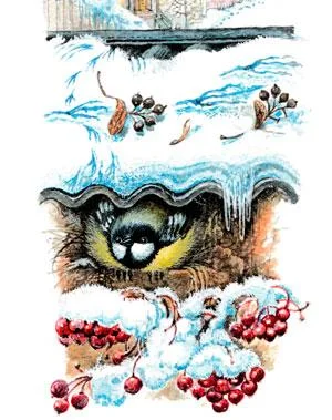 Синичка в гнезде